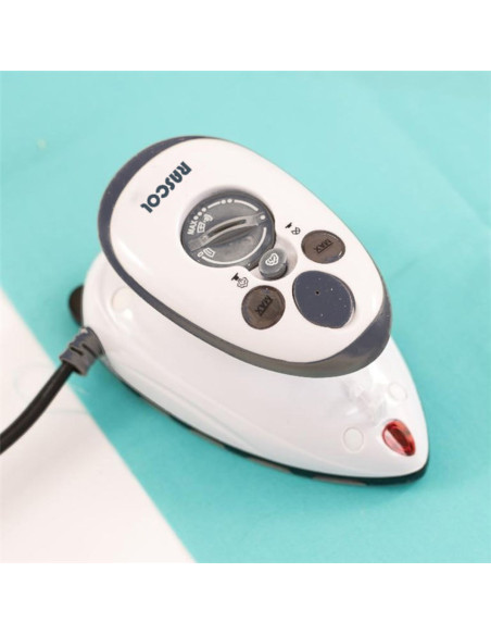 Mini steam iron