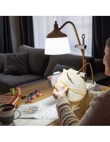 Lamp on table with magnifying glass, tray, and phone clamp Daylight Anita