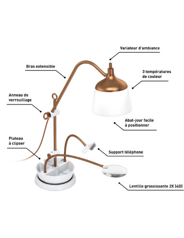 Lamp on table with magnifying glass, tray, and phone clamp Daylight Anita