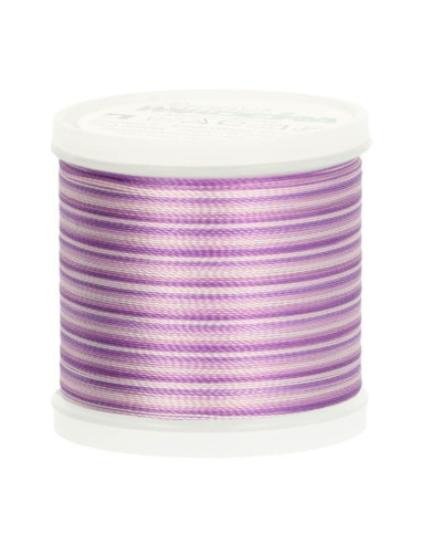 Fil à broder Madeira Rayon Ombré 200 m
