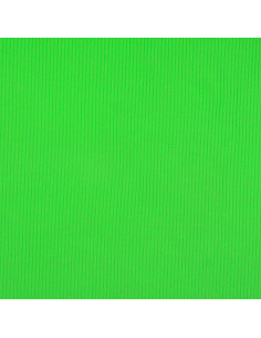 Ribbed cotton jersey fabric - Apple green 2