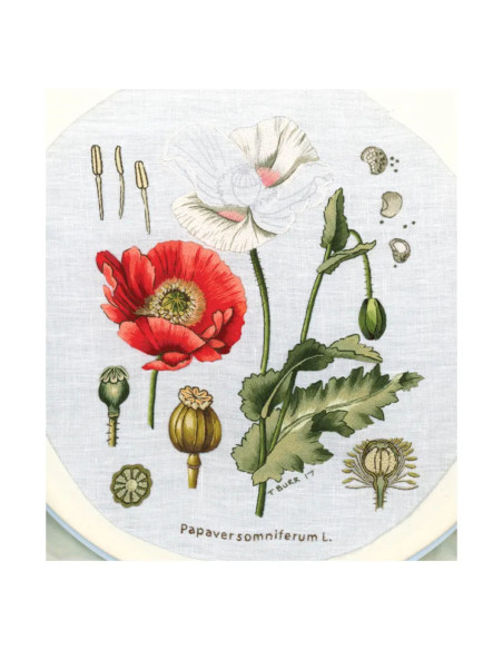 The Big Book of Embroidered Flowers