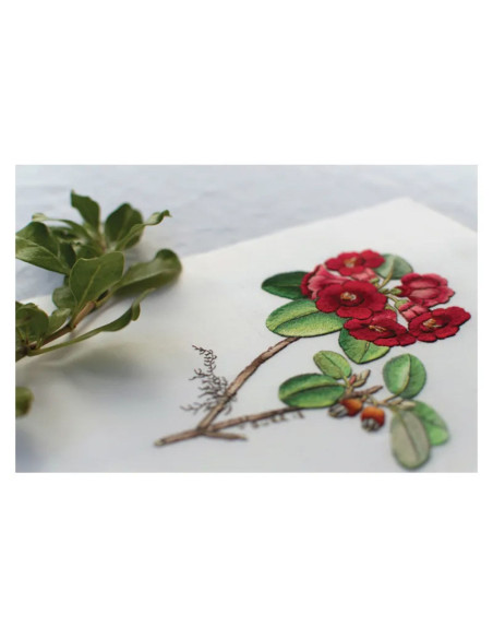 The Big Book of Embroidered Flowers