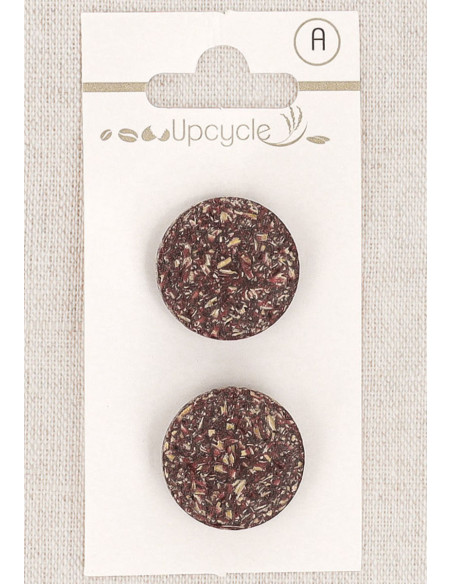 Card of 2 purple shank buttons 20 mm - Fantasies