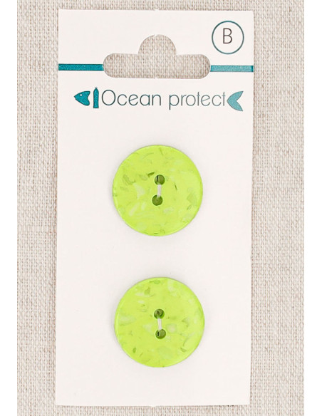 Card of 2 anise buttons 18 mm 2 holes - Flat