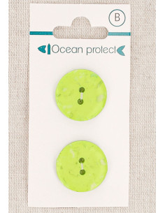Card of 2 anise buttons 20 mm 2 holes - Flat