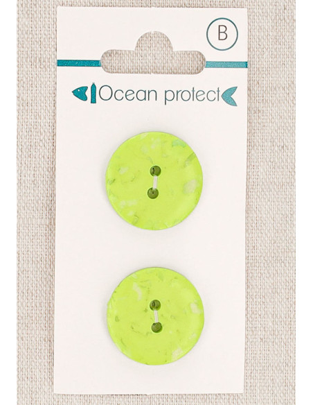 Card of 2 anise buttons 20 mm 2 holes - Flat