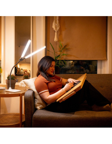 DuoPro Daylight table lamp
