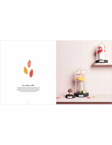 Ricorumi Shrooom Booklet