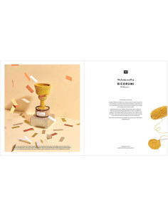 Ricorumi Booklet The Winner is ... 2