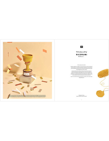 Ricorumi Booklet The Winner is ...