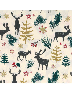 Cotton poplin fabric - Ecru and red Aggrim 2