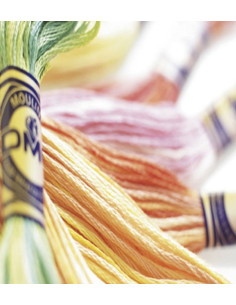 Mouliné Variations Embroidery Thread DMC