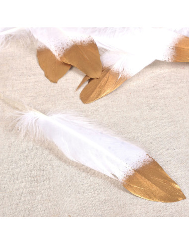 Set of 10 gold-finished feathers - White