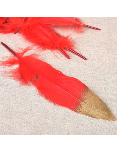 Set of 10 gold-finished pens - Red