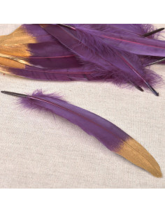 Set of 10 gold-finished pens - Purple