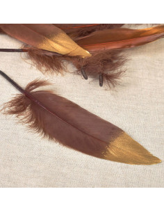 Set of 10 gold-finished feathers - Brown