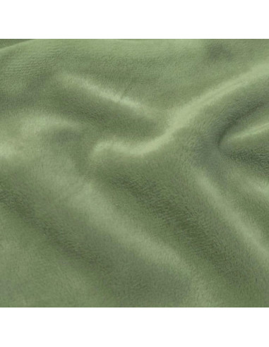 Smooth minky fabric - Rosemary