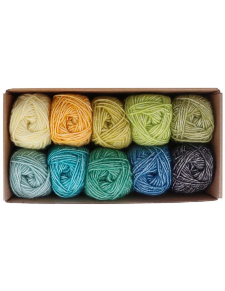 Box of 10 Scheejes Stone Washed Colour Pack balls - Grounding