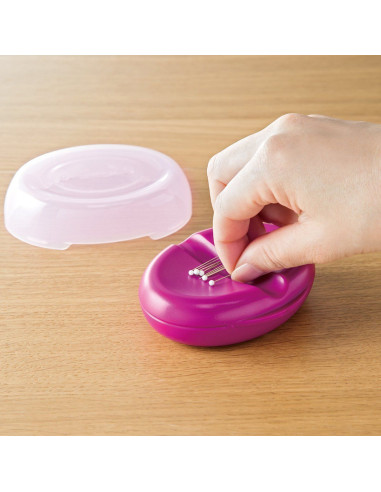 Clover magnetic pin box