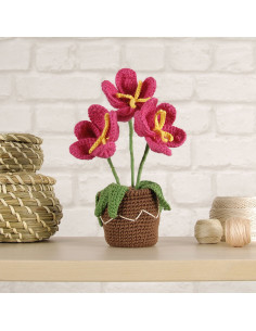 Amigurumi kit - Flower pot