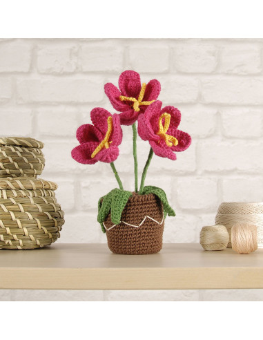 Amigurumi kit - Flower pot