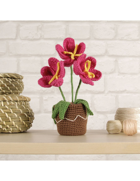 Amigurumi kit - Flower pot