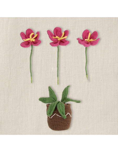 Amigurumi kit - Flower pot