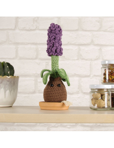 Amigurumi kit - Hyacinth