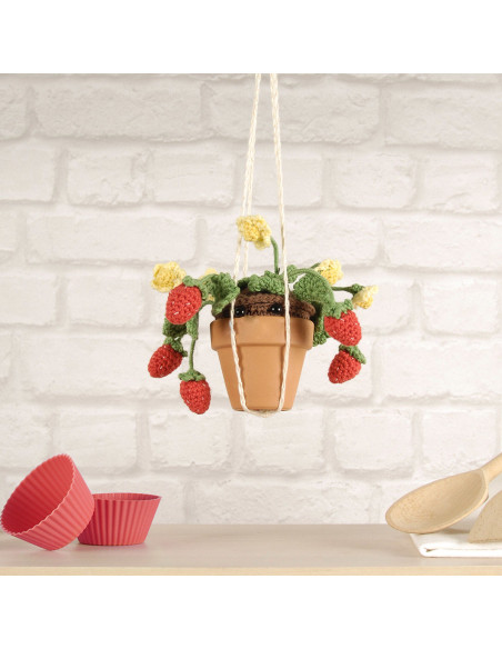 Amigurumi Kit - Summer Strawberries