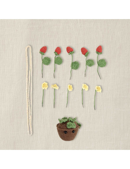Amigurumi Kit - Summer Strawberries