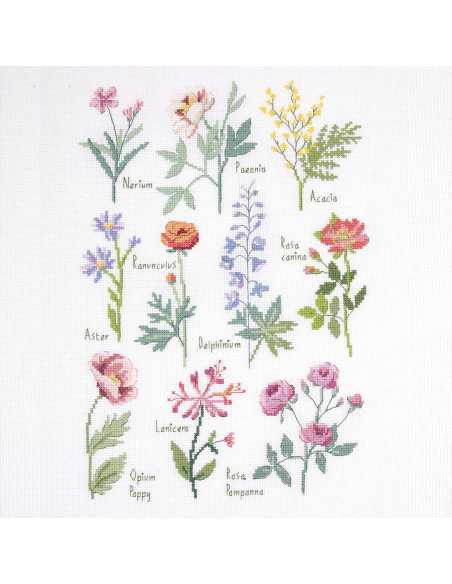 Cross-stitch embroidery kit - Botanical board
