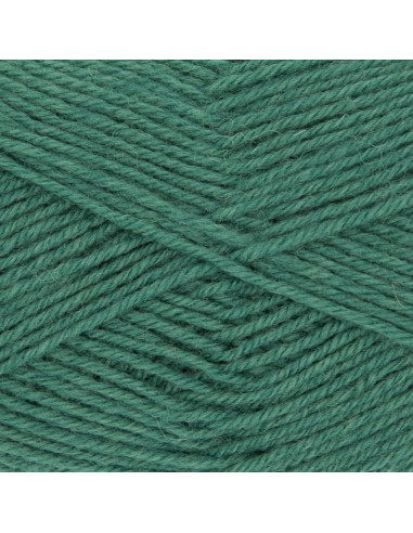Hot Socks Uni 50 Gründl sock yarn