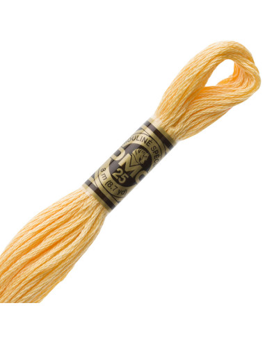 DMC Embroidery Thread Floss