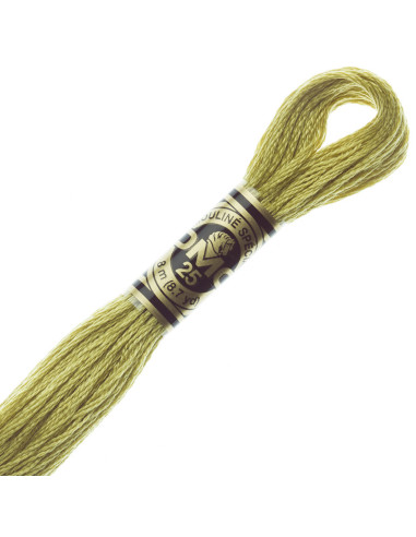 DMC Embroidery Thread Floss