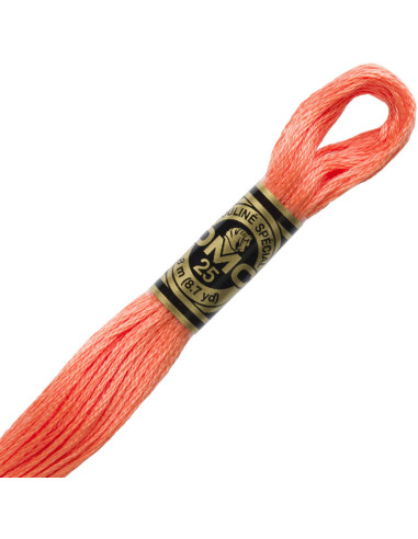 DMC Embroidery Thread Floss