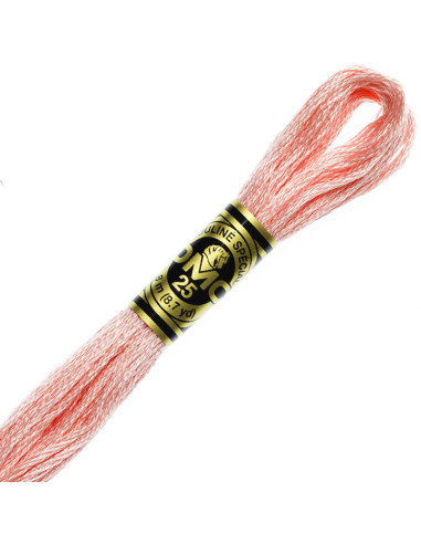 DMC Embroidery Thread Floss