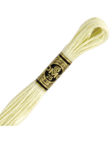 DMC Embroidery Thread Floss