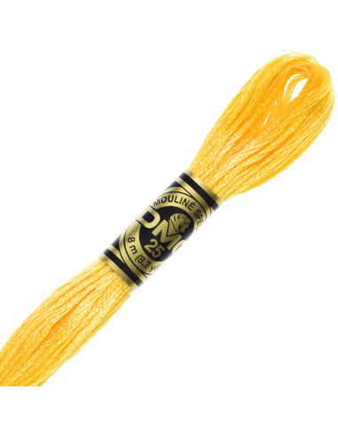 DMC Embroidery Thread Floss