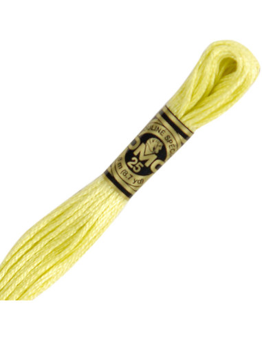 DMC Embroidery Thread Floss