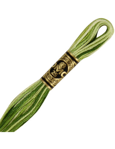 DMC Embroidery Thread Floss