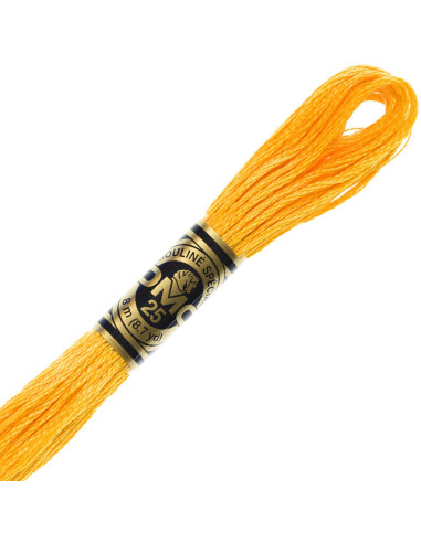 DMC Embroidery Thread Floss
