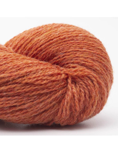 Bio Shetland Wool BC Yarn