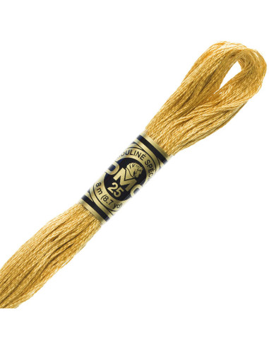 DMC Embroidery Thread Floss