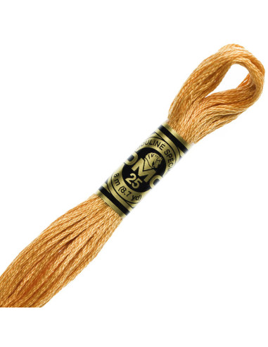 DMC Embroidery Thread Floss