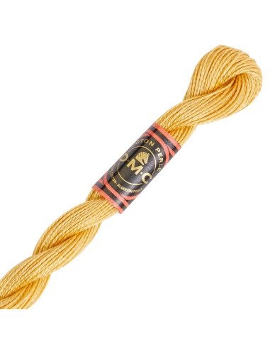 DMC Pearl Cotton Skein 8