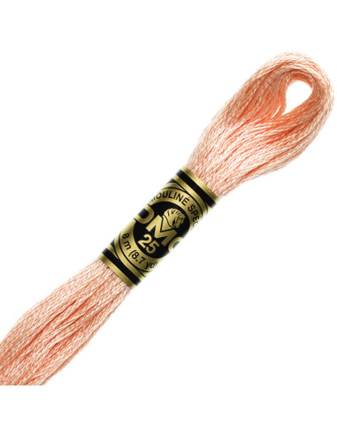 DMC Embroidery Thread Floss