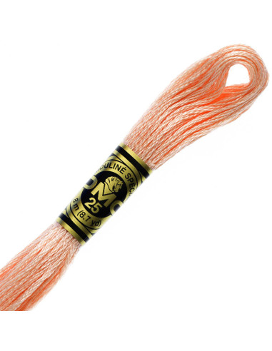 DMC Embroidery Thread Floss