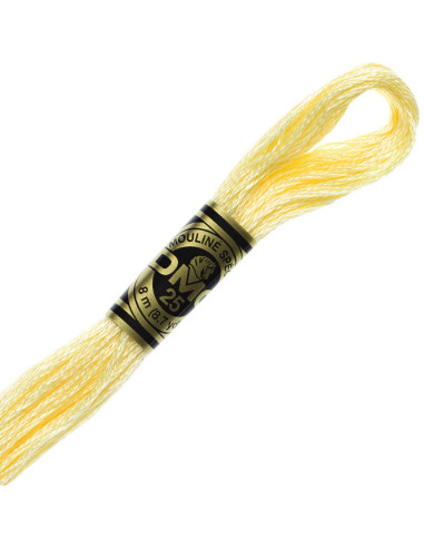 DMC Embroidery Thread Floss