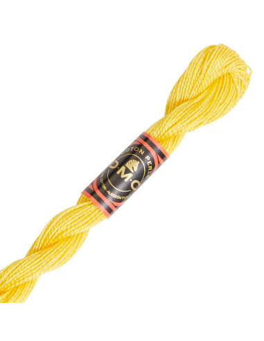 DMC Pearl Cotton Skein 8